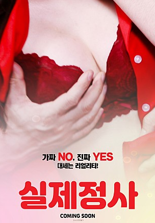 실제정사 - SETFLIX
